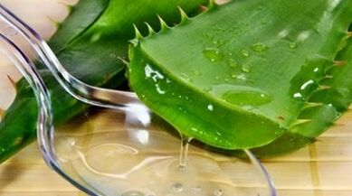 Aloe, um die Potenz von Männern zu erhöhen